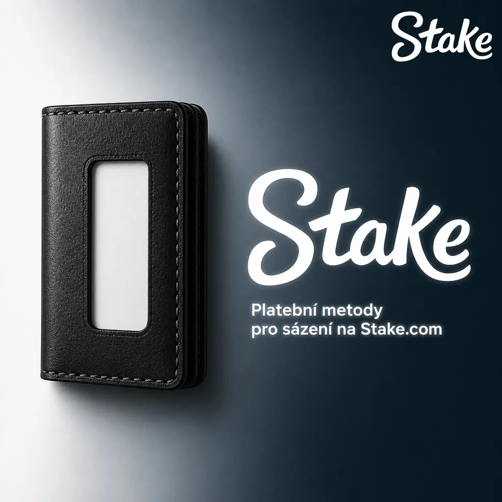 Přehled platebních metod na Stake.com: karty, bankovní převody, PIX, Apple a Google Pay i kryptoměny